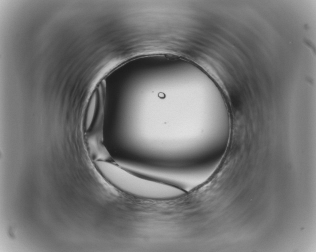 X0000097781197200803211752