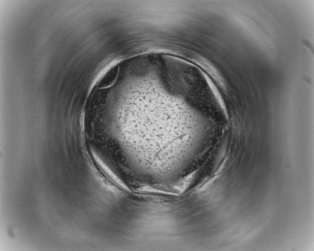 X0000097781198200803211752