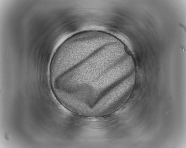 X0000097781199200803211752