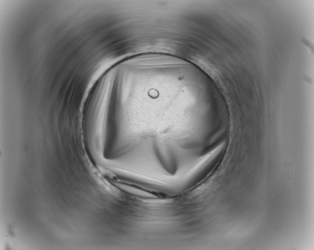 X0000097781200200803211752