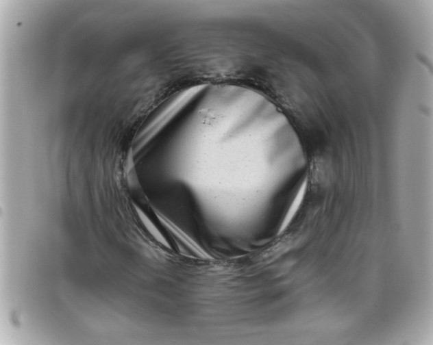 X0000097781202200803211751