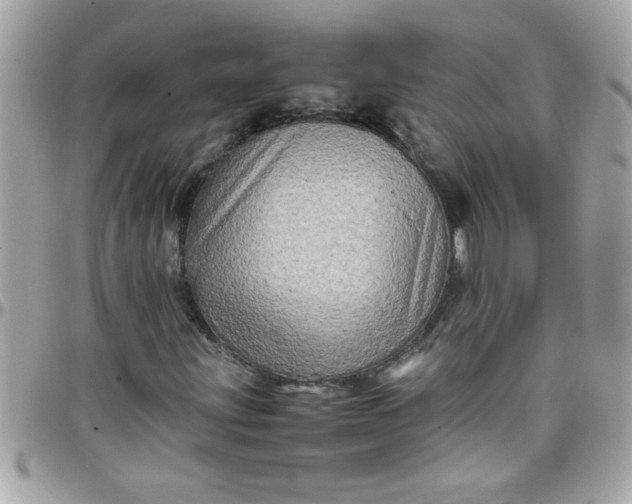 X0000097781203200803211751