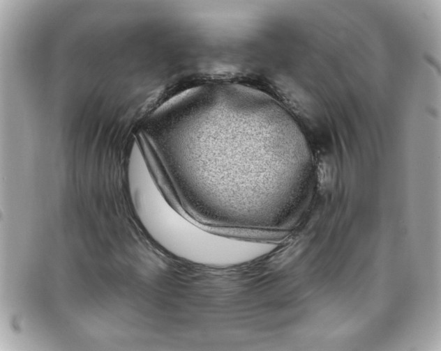 X0000097781204200803211751