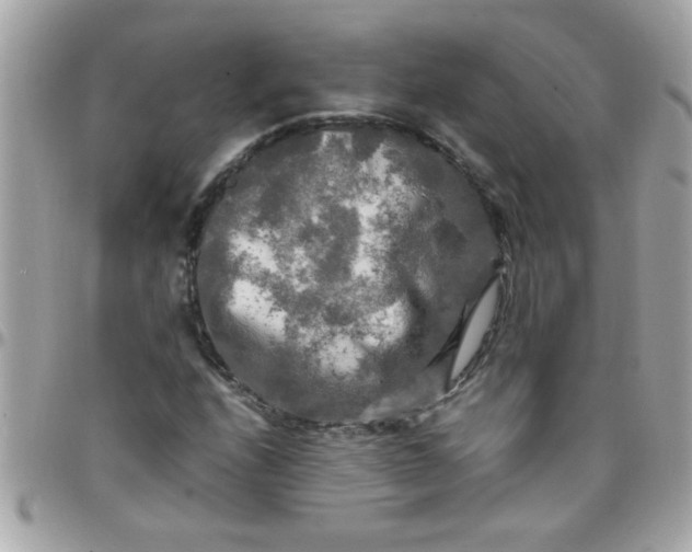 X0000097781208200803211751