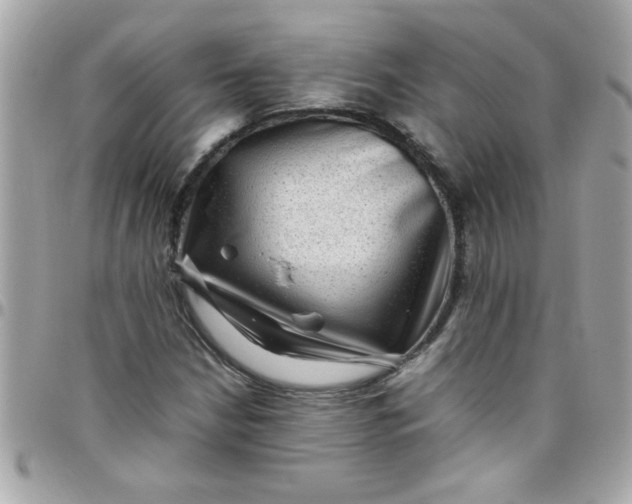 X0000097781210200803211751