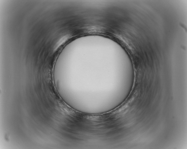 X0000097781211200803211751