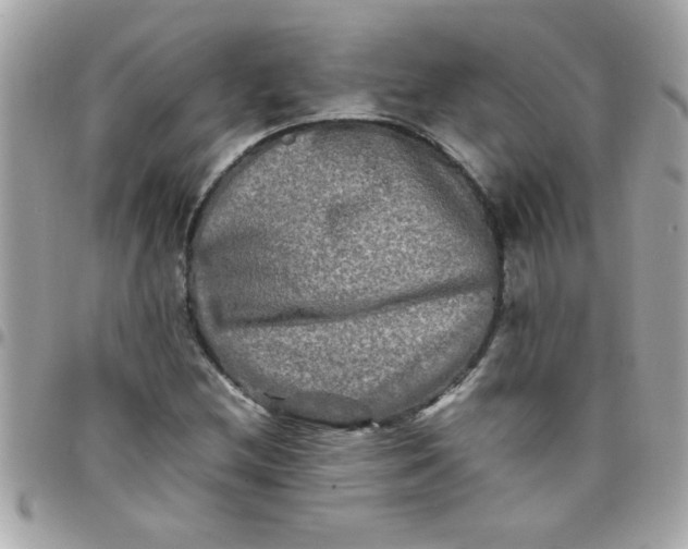 X0000097781212200803211751