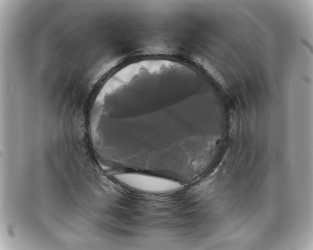 X0000097781213200803211751