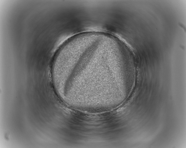 X0000097781215200803211751