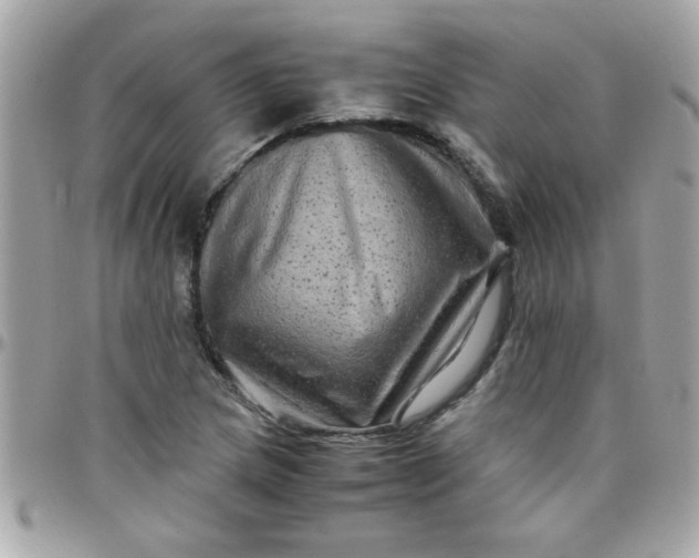 X0000097781217200803211751