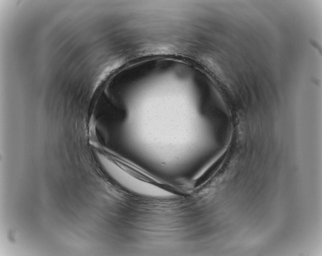 X0000097781218200803211751