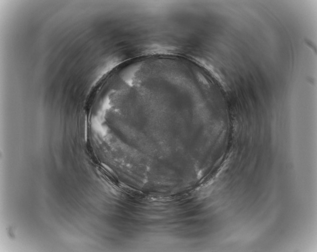 X0000097781219200803211751