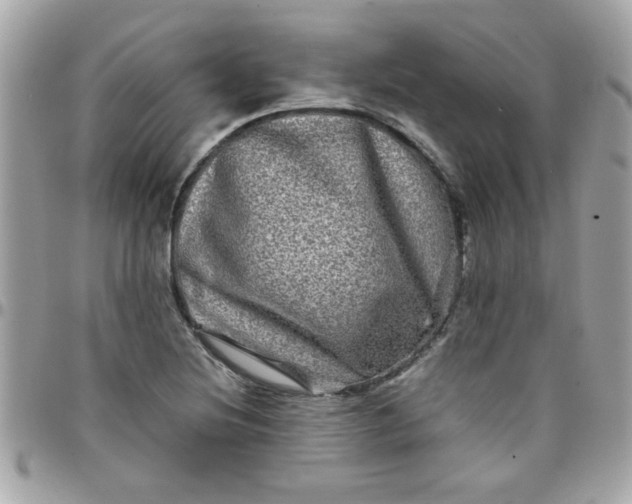 X0000097781220200803211751