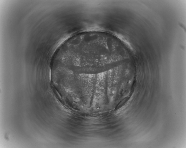 X0000097781221200803211751