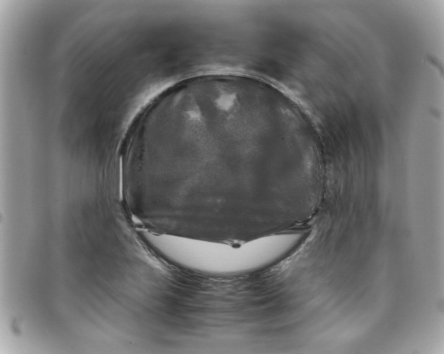 X0000097781223200803211751