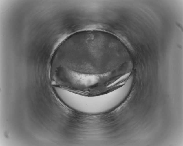 X0000097781224200803211751