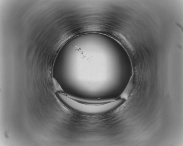 X0000097781225200803211751