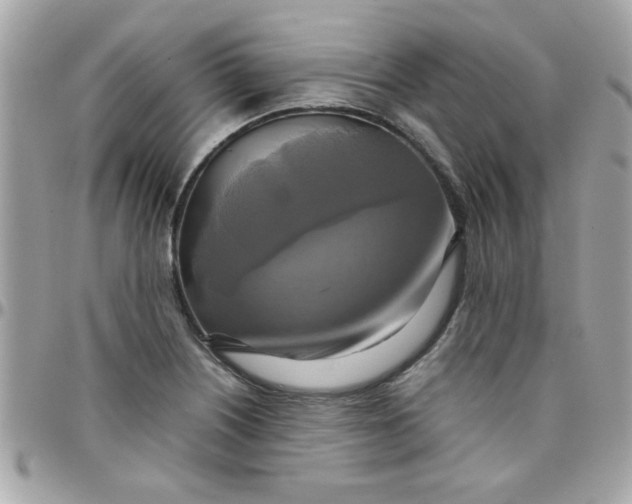 X0000097781226200803211751