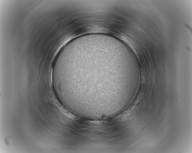 X0000097781227200803211751