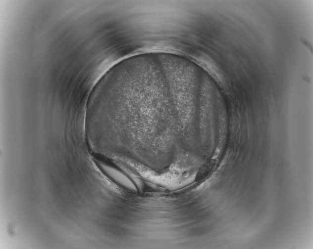 X0000097781228200803211751