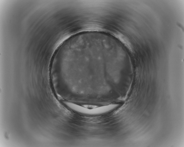 X0000097781229200803211751