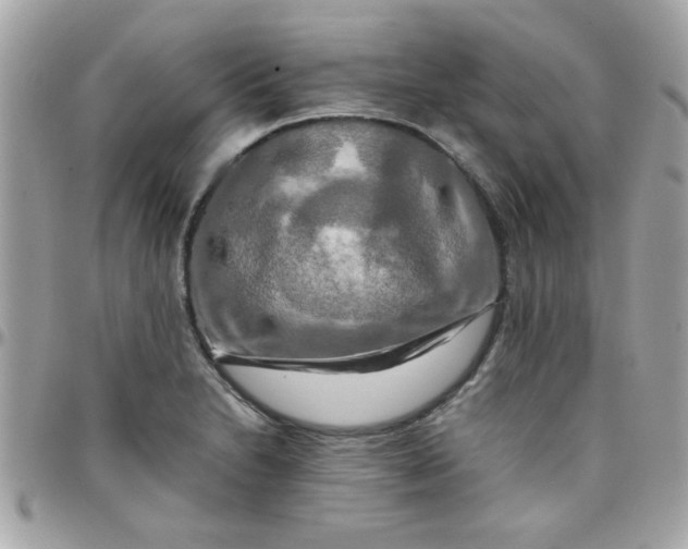 X0000097781230200803211751