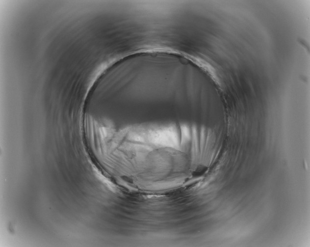 X0000097781231200803211751