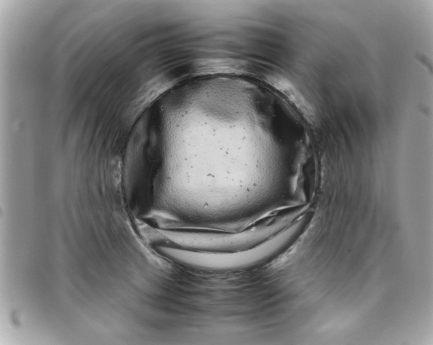 X0000097781233200803211751