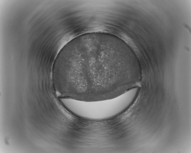 X0000097781234200803211751