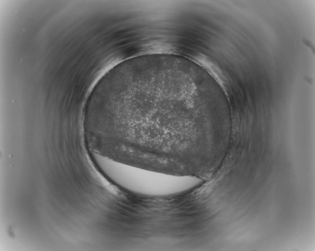 X0000097781235200803211751