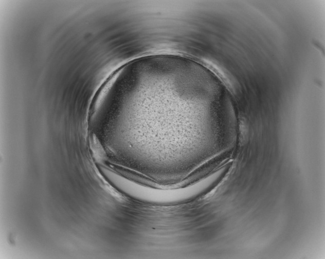 X0000097781236200803211752