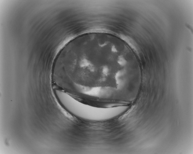 X0000097781237200803211752