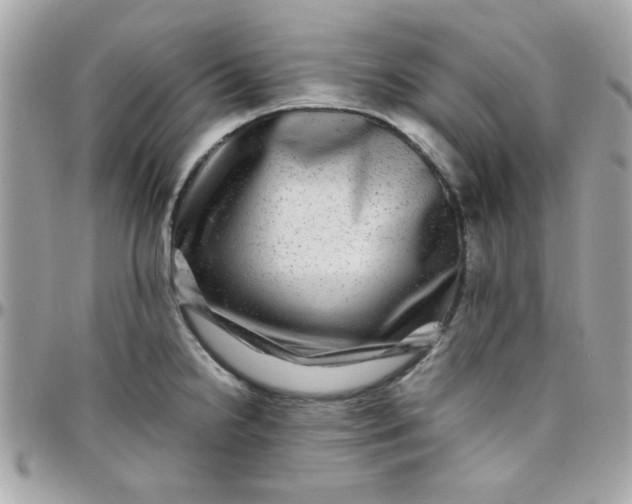 X0000097781238200803211752