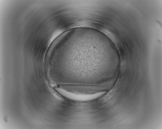 X0000097781242200803211752