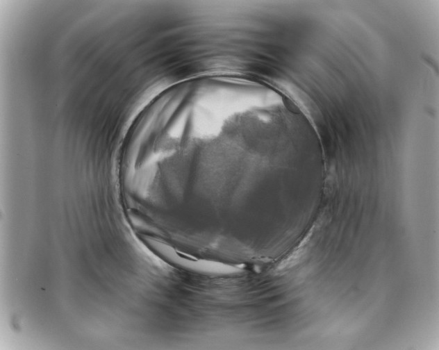 X0000097781243200803211752