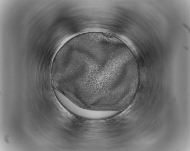 X0000097781244200803211752