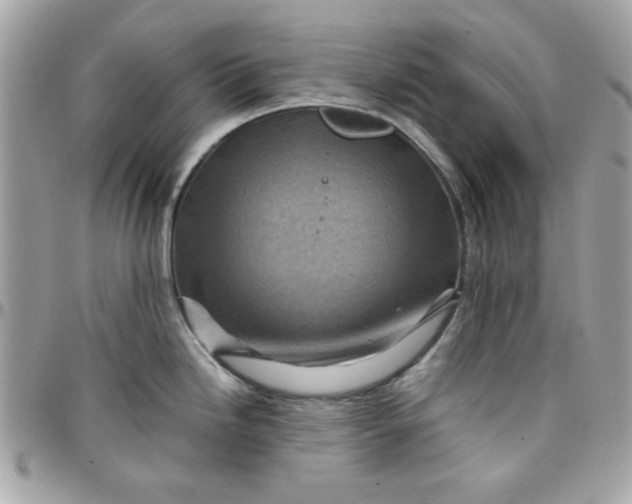 X0000097781246200803211752