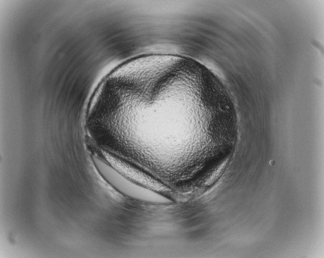 X0000097781248200803211752