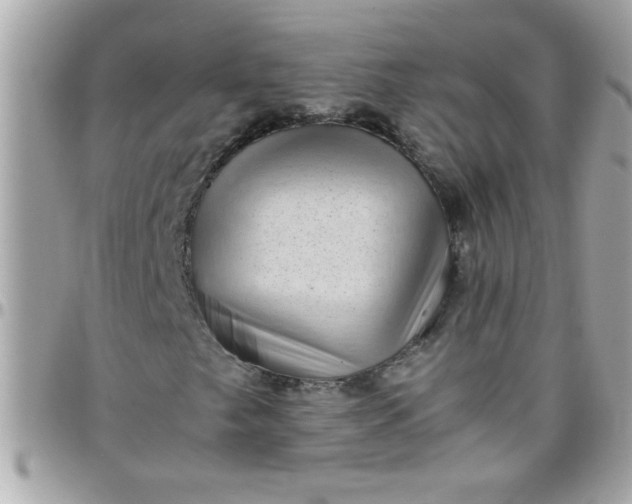 X0000097781249200803211751