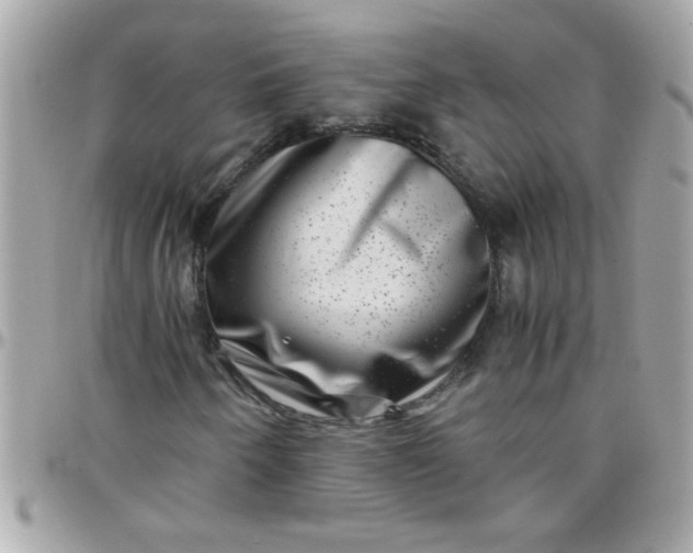 X0000097781250200803211751