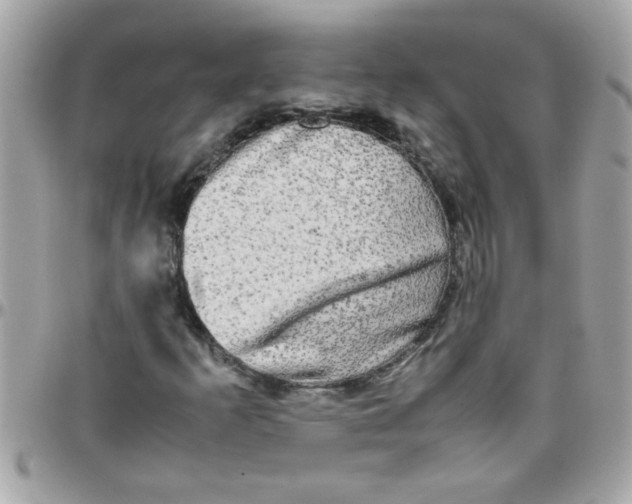 X0000097781253200803211751