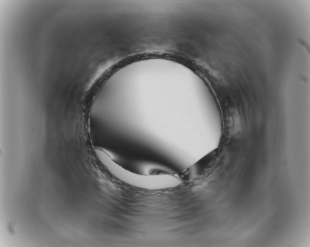 X0000097781256200803211751