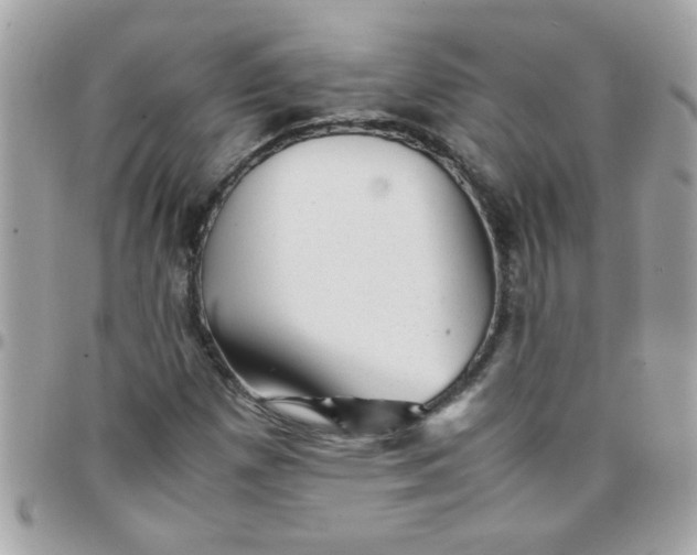 X0000097781257200803211751