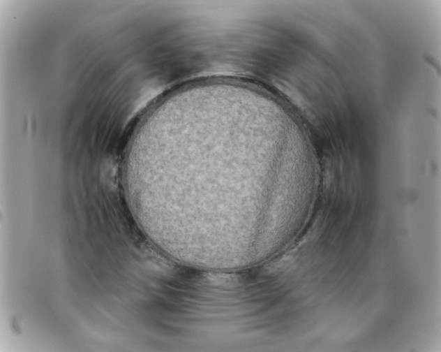 X0000097781258200803211751