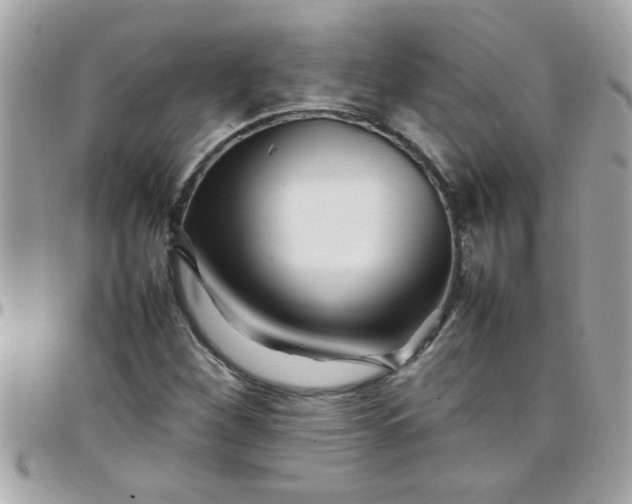 X0000097781260200803211751