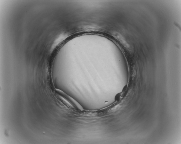 X0000097781261200803211751