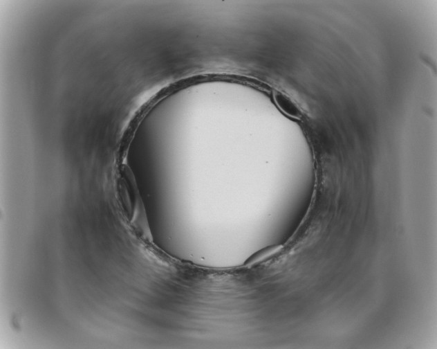 X0000097781264200803211751