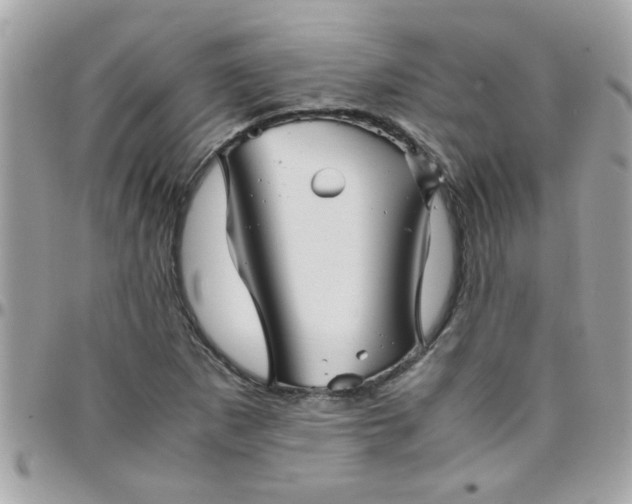 X0000097781265200803211751