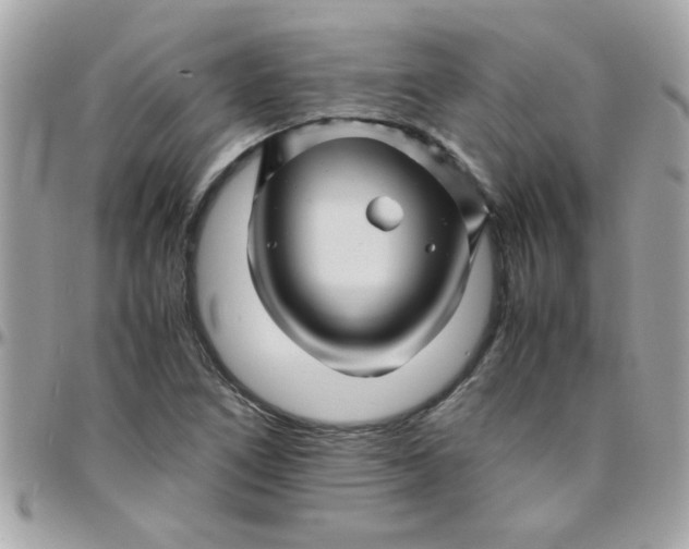 X0000097781266200803211751