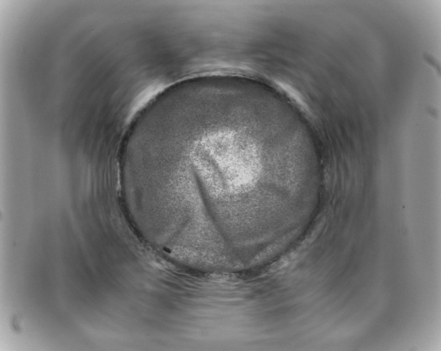 X0000097781267200803211751